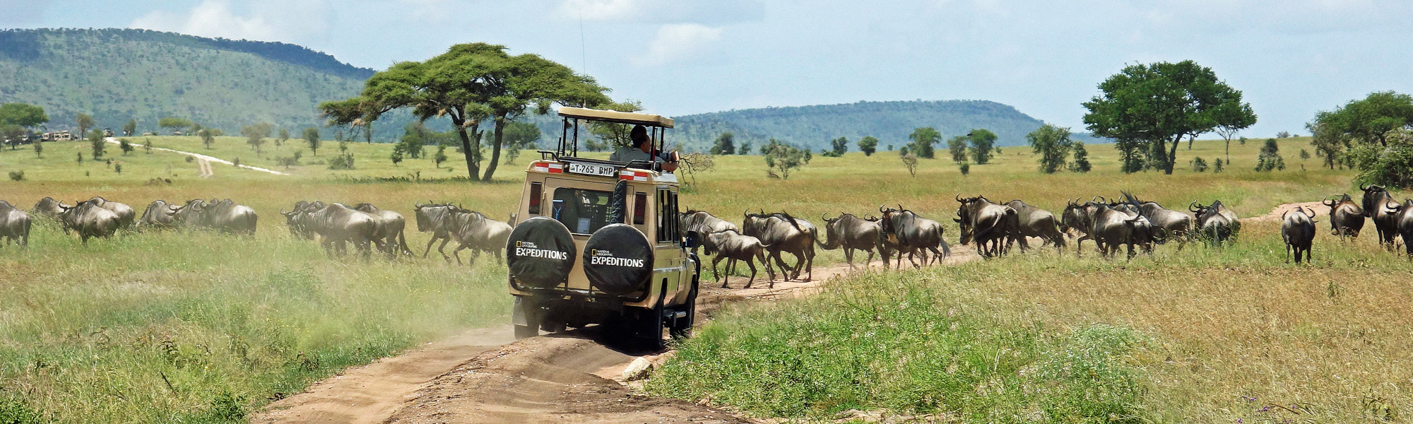 auf Safari in Tansania